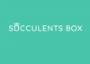 Succulents Box