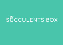 Succulents Box promo codes