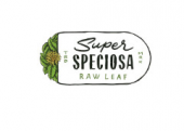 Superspeciosa