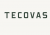 Tecovas coupons