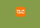 Temu logo