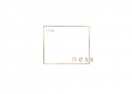 The Ness logo