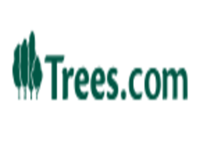 Fast Growing Trees promo codes