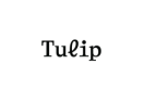 Tulip Shades logo