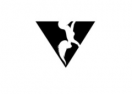 Vertical Activewear logo