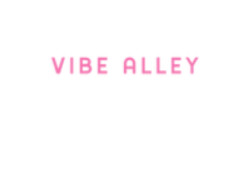 Vibe Alley promo codes