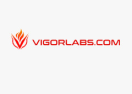 VIGORLABS.COM logo