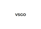 VSGO logo
