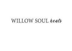 Willow Soul promo codes