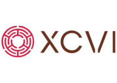 XCVI promo codes