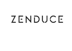 Zenduce promo codes